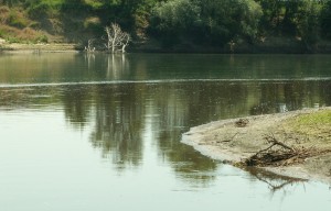 Кракен актуальная ссылка тор